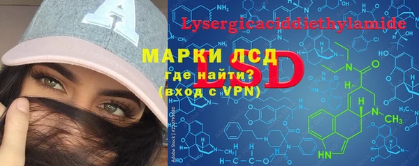 индика Алексин
