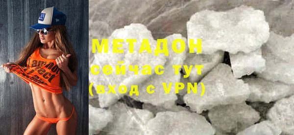 индика Алексин